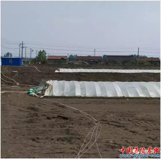 中國養殖基地 yzjidi.com