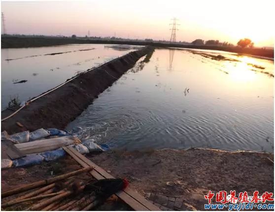 中國養殖基地 yzjidi.com