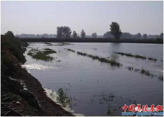 中國養殖基地 yzjidi.com