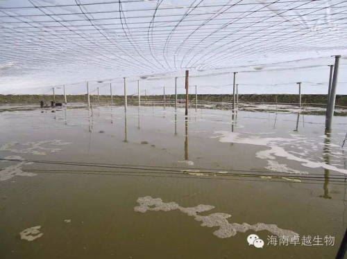 中國養殖基地 yzjidi.com