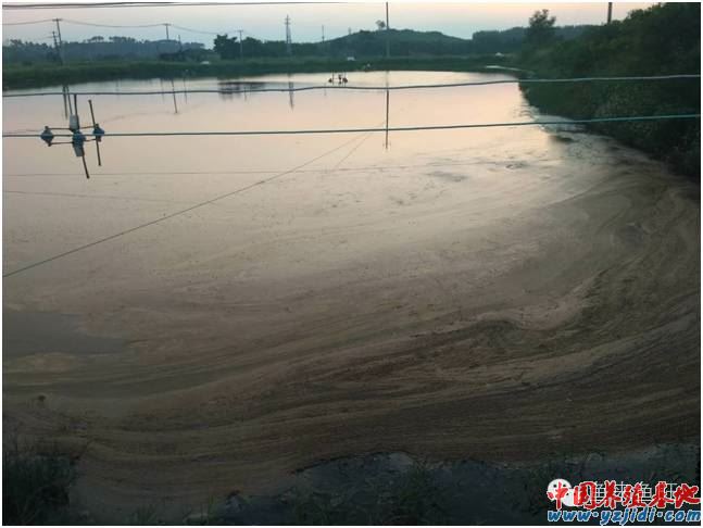 中國養殖基地 yzjidi.com