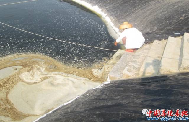 中國養殖基地 yzjidi.com