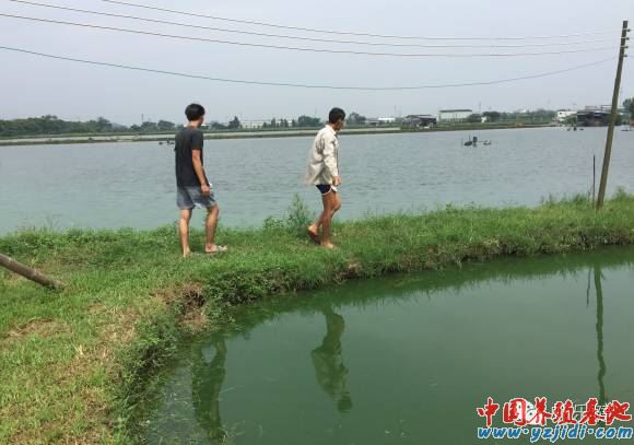 中國養殖基地 yzjidi.com