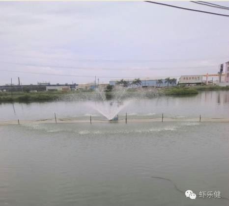 中國養殖基地 yzjidi.com