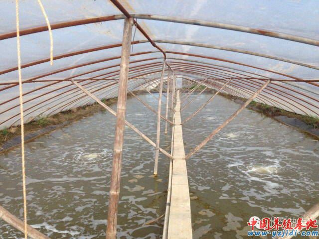 中國養殖基地 yzjidi.com