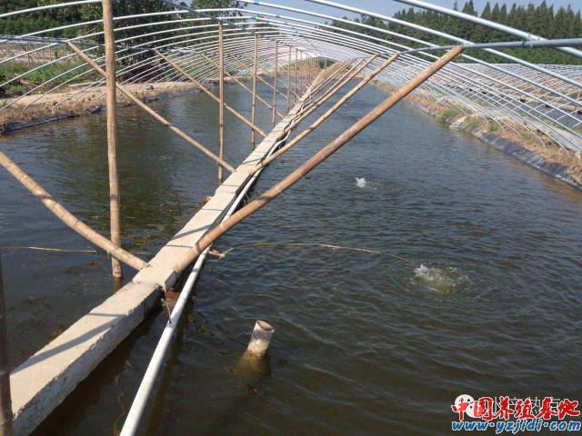 中國養殖基地 yzjidi.com