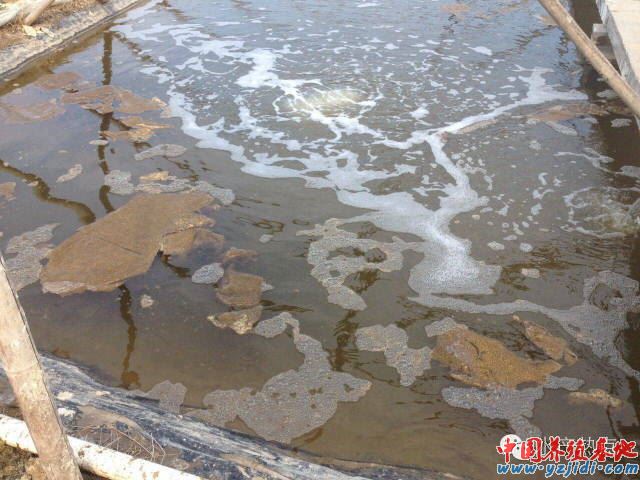 中國養殖基地 yzjidi.com