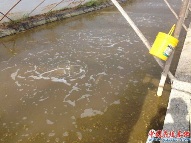 中國養殖基地 yzjidi.com