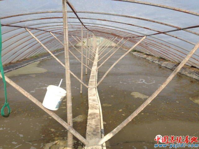 中國養殖基地 yzjidi.com