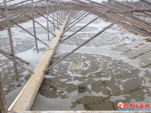中國養殖基地 yzjidi.com