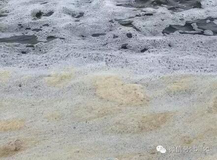 中國養殖基地 yzjidi.com