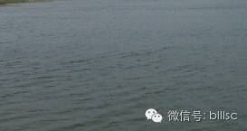 中國養殖基地 yzjidi.com