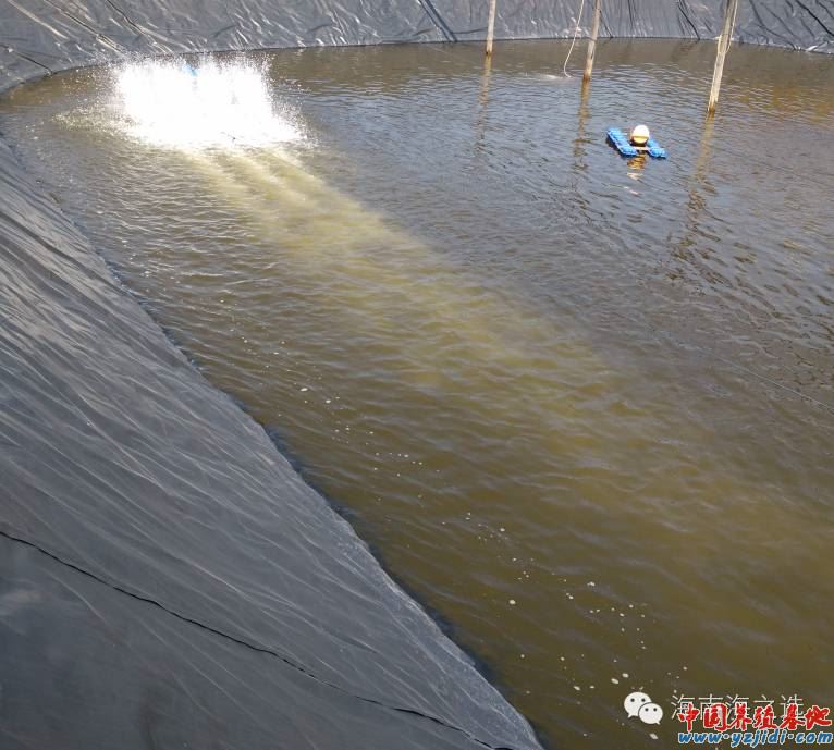 中國養殖基地 yzjidi.com
