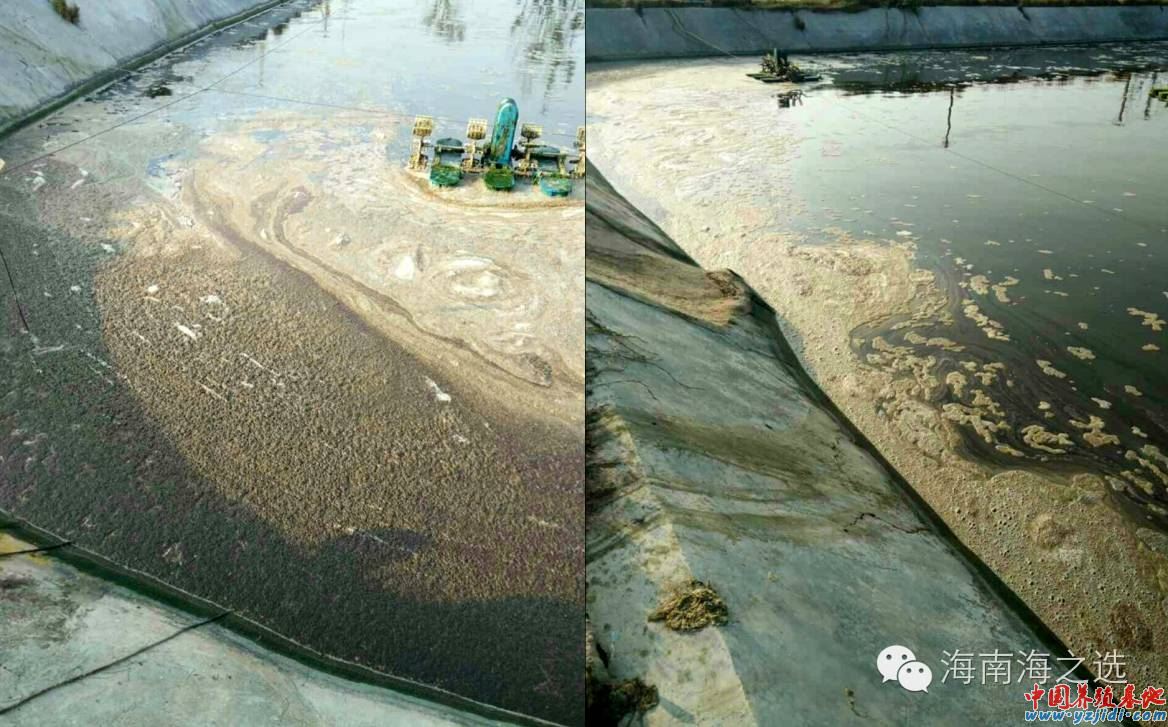 中國養殖基地 yzjidi.com