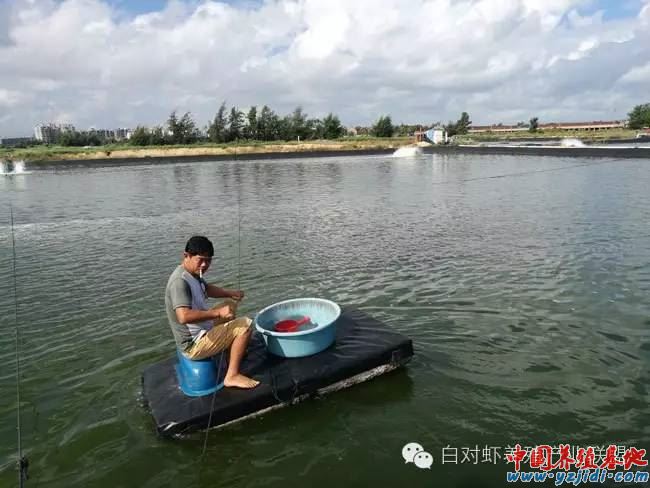 中國養殖基地 yzjidi.com