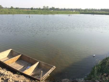 中國養殖基地 yzjidi.com