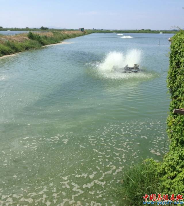 中國養殖基地 yzjidi.com