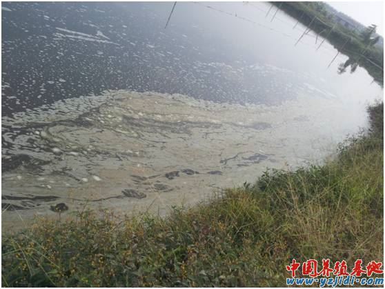 中國養殖基地 yzjidi.com