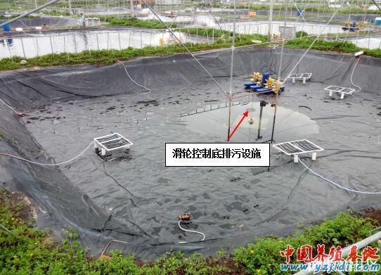 中國養殖基地 yzjidi.com