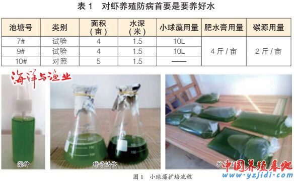 中國養殖基地 yzjidi.com