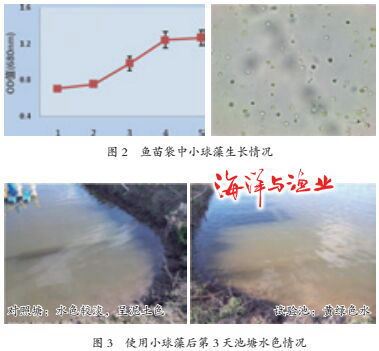 中國養殖基地 yzjidi.com