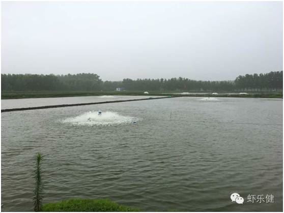 中國養殖基地 yzjidi.com