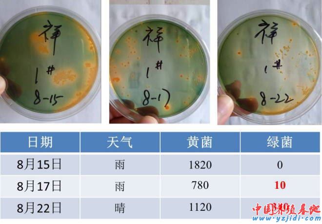 中國養殖基地 yzjidi.com