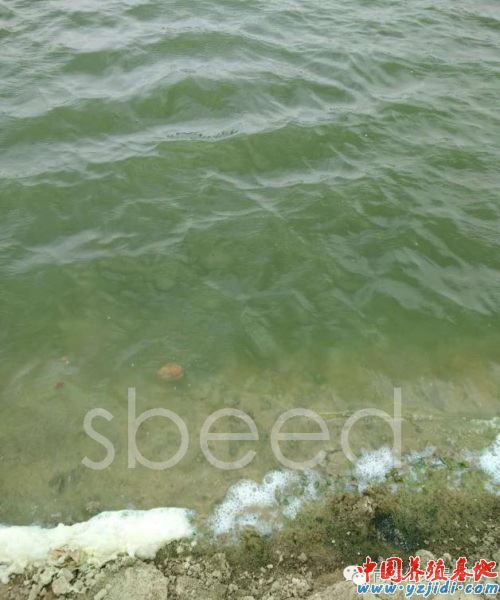 中國養殖基地 yzjidi.com