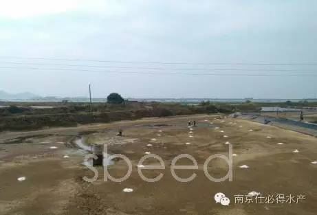 中國養殖基地 yzjidi.com