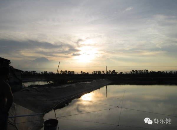 中國養殖基地 yzjidi.com