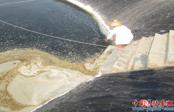 中國養殖基地 yzjidi.com