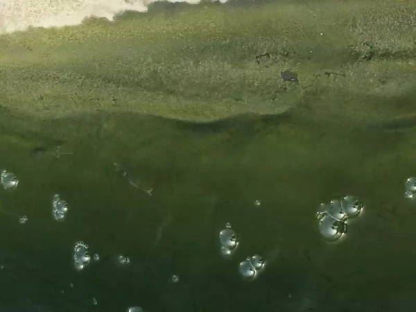 中國養殖基地 yzjidi.com
