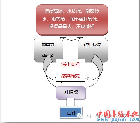 中國養殖基地 yzjidi.com