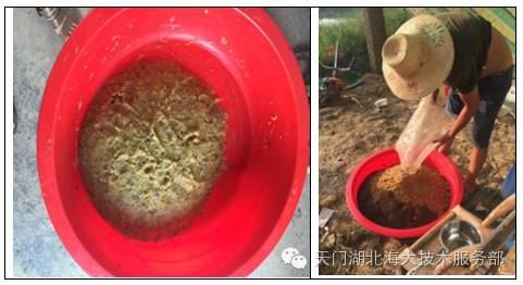 中國養殖基地 yzjidi.com