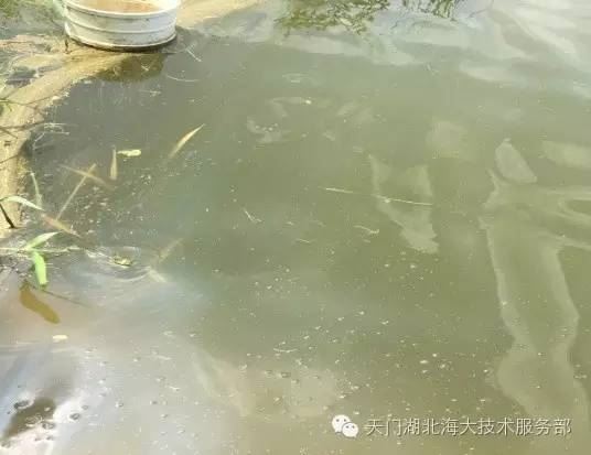 中國養殖基地 yzjidi.com