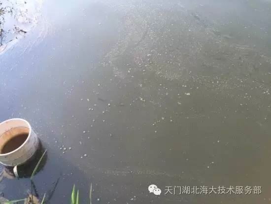 中國養殖基地 yzjidi.com