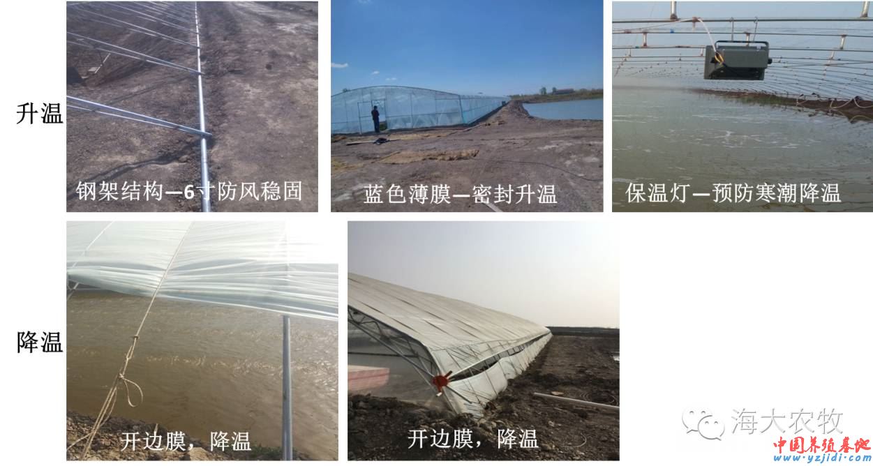 中國養殖基地 yzjidi.com