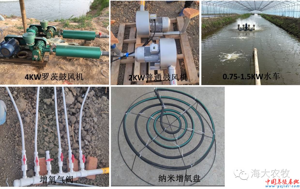 中國養殖基地 yzjidi.com