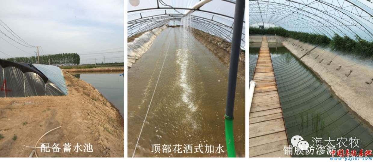 中國養殖基地 yzjidi.com