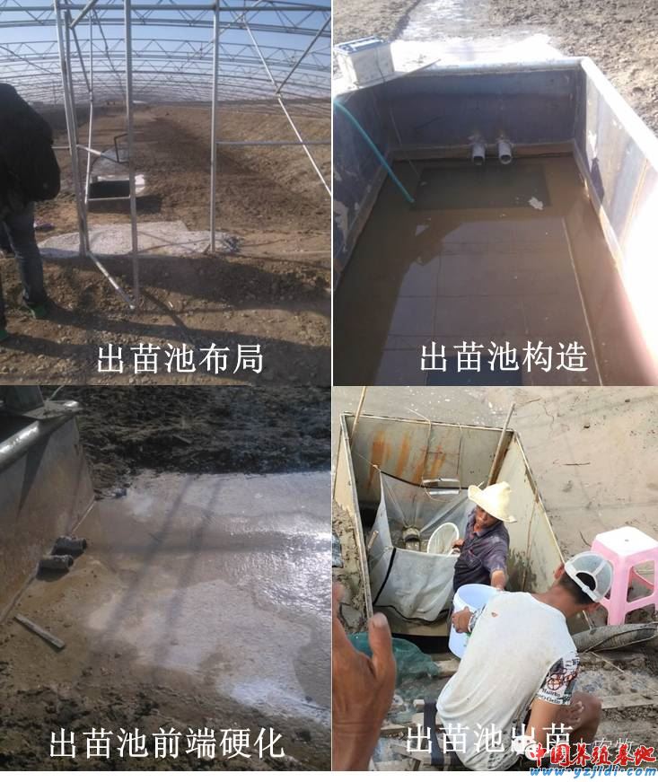 中國養殖基地 yzjidi.com