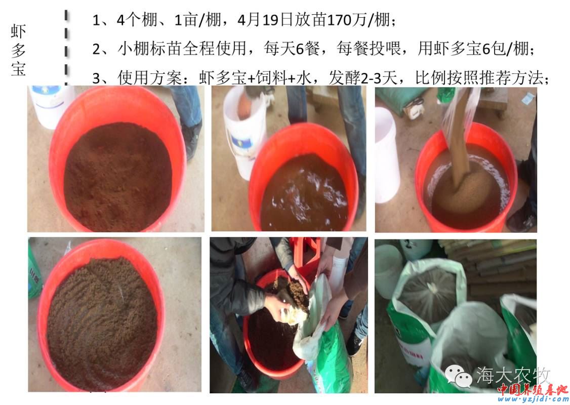 中國養殖基地 yzjidi.com