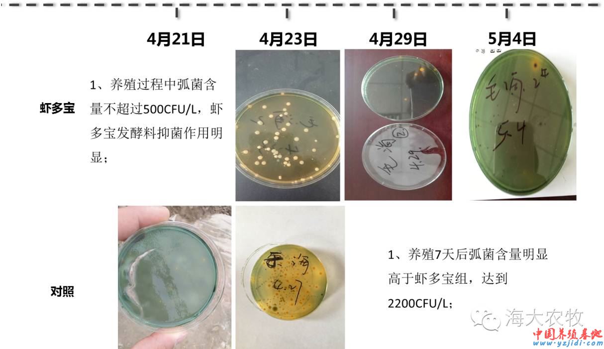 中國養殖基地 yzjidi.com