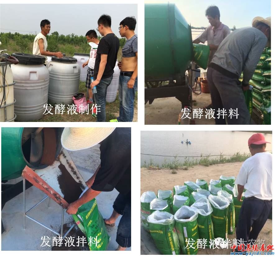 中國養殖基地 yzjidi.com