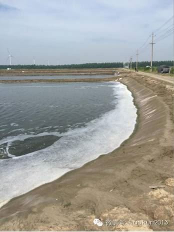 中國養殖基地 yzjidi.com