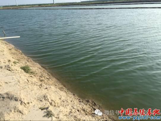 中國養殖基地 yzjidi.com