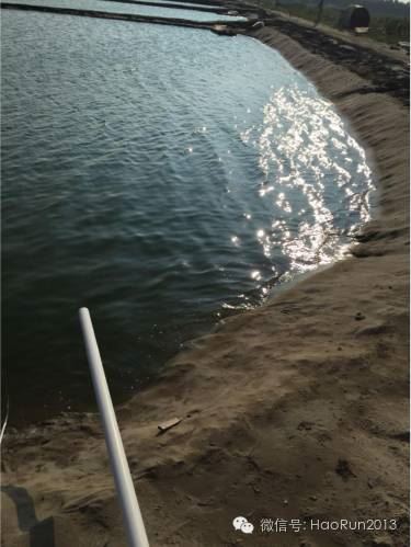 中國養殖基地 yzjidi.com