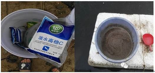 中國養殖基地 yzjidi.com