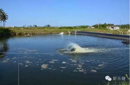 中國養殖基地 yzjidi.com
