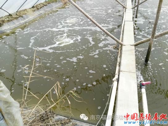 中國養殖基地 yzjidi.com