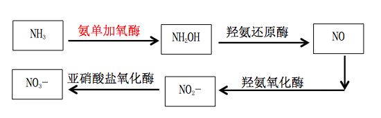 中國養殖基地 yzjidi.com